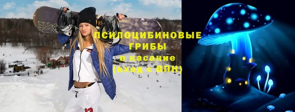 кокс Бородино