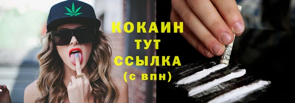соль ск Бронницы