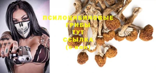 кокс Бородино