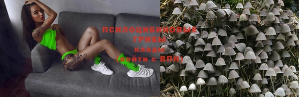 mdpv Бугульма